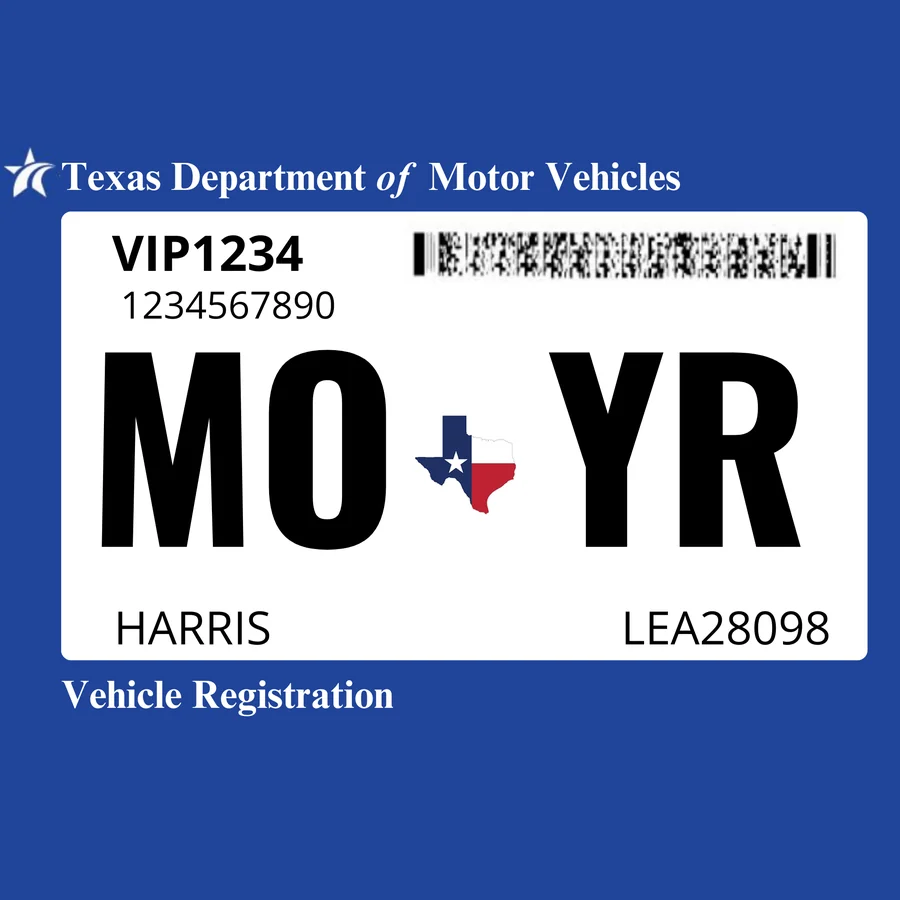Texas vehicle registration sticker illustration
